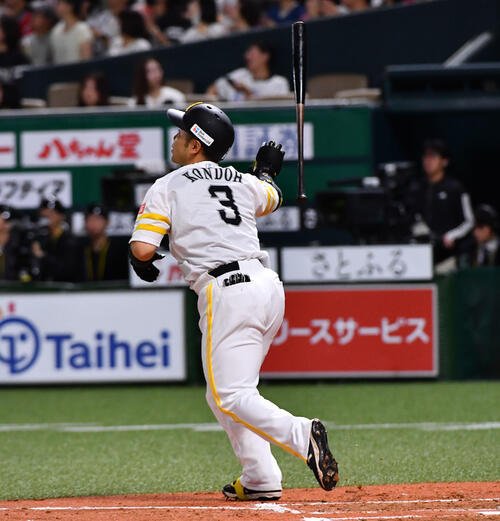 図・写真