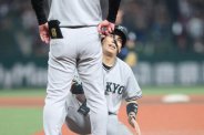 図・写真