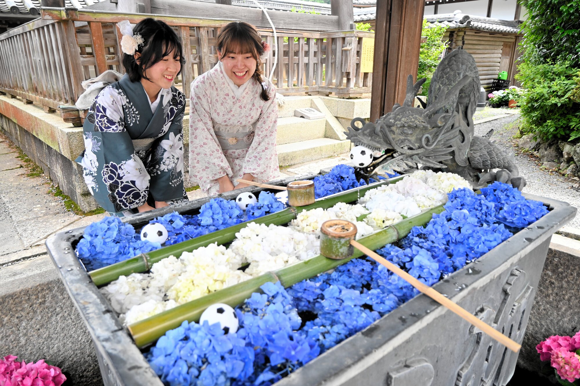 図・写真