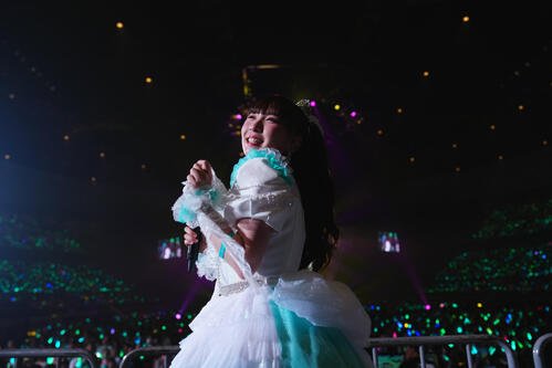 図・写真
