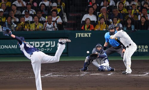 図・写真