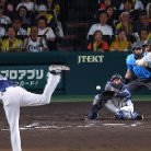 図・写真