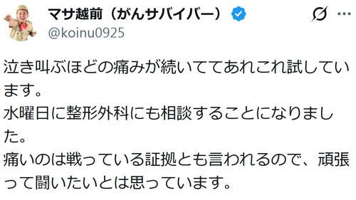 図・写真