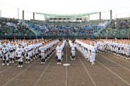 図・写真