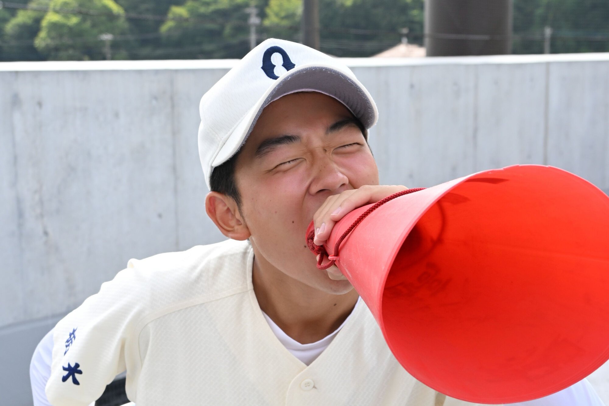 図・写真