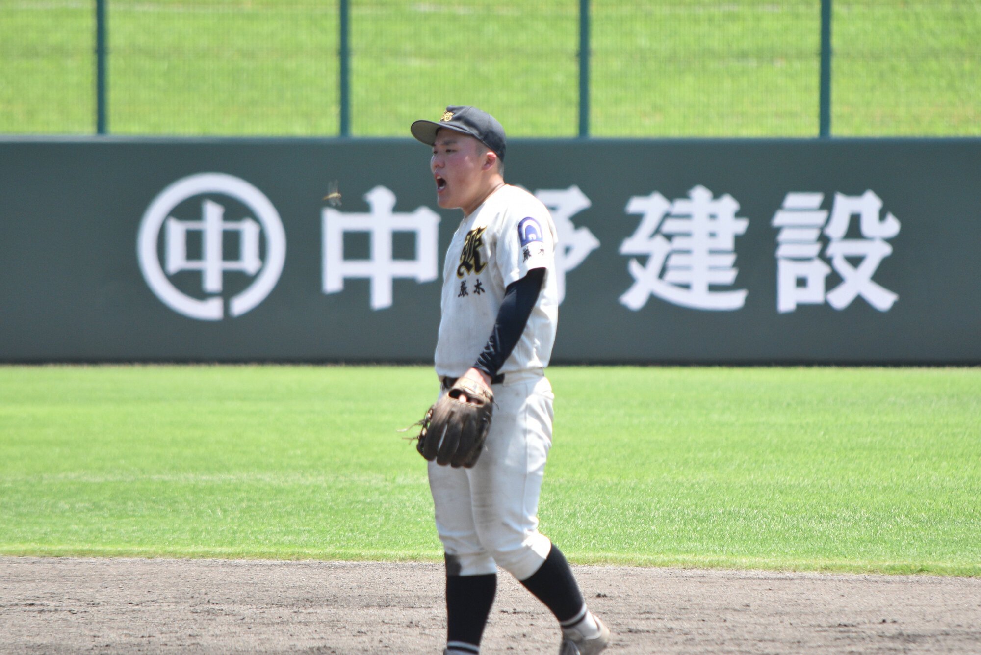 図・写真