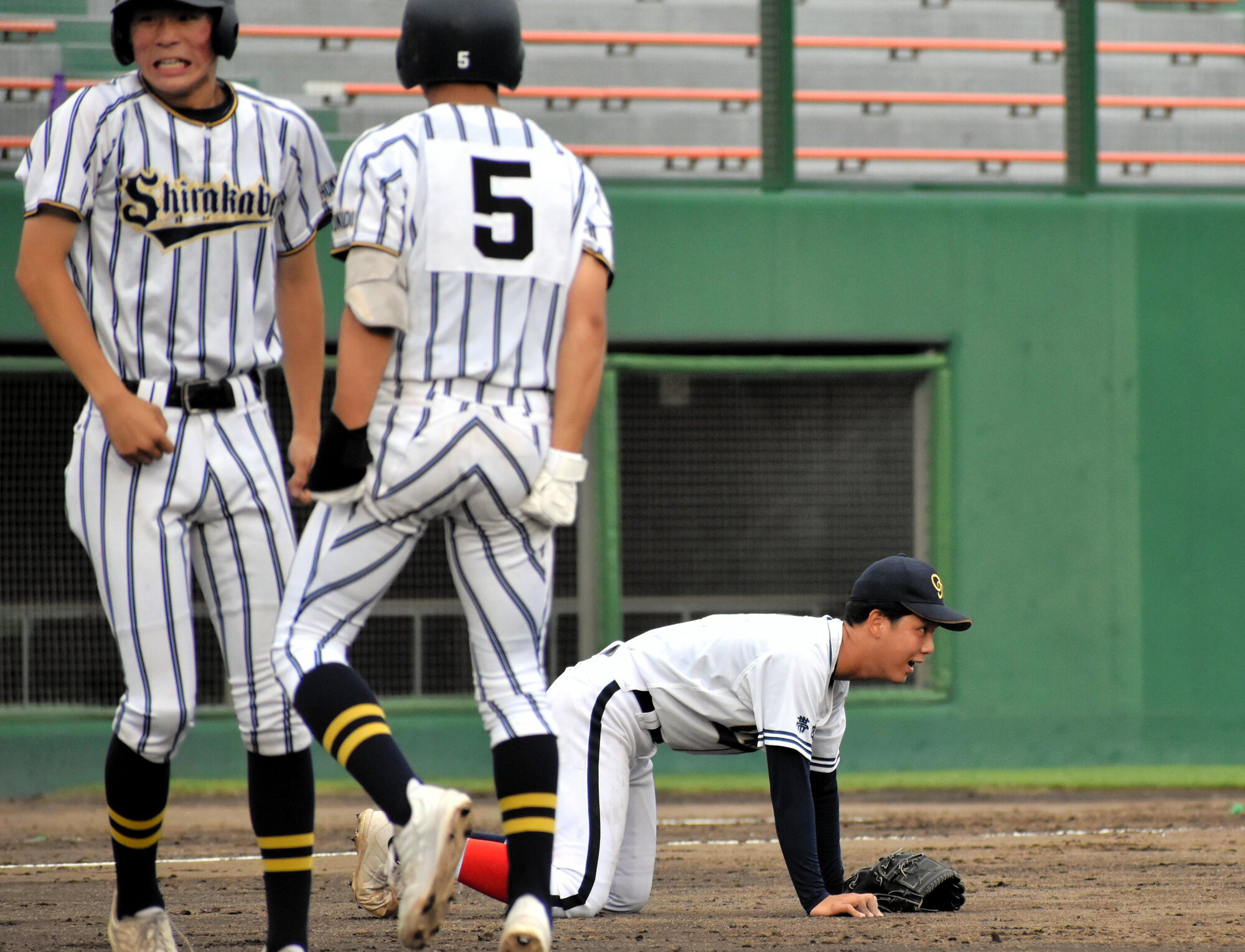 図・写真