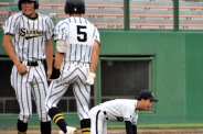 図・写真