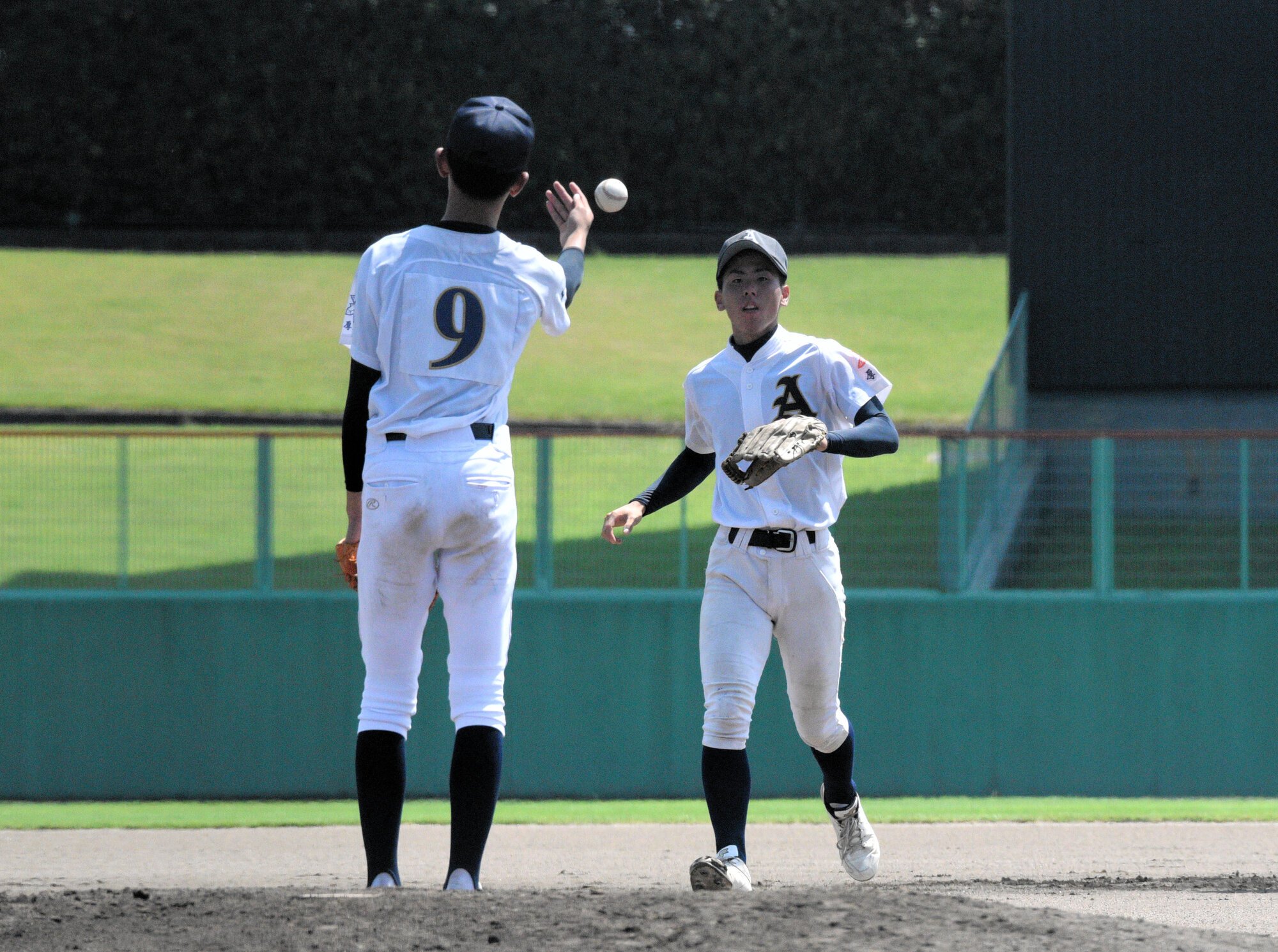 図・写真