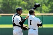 図・写真