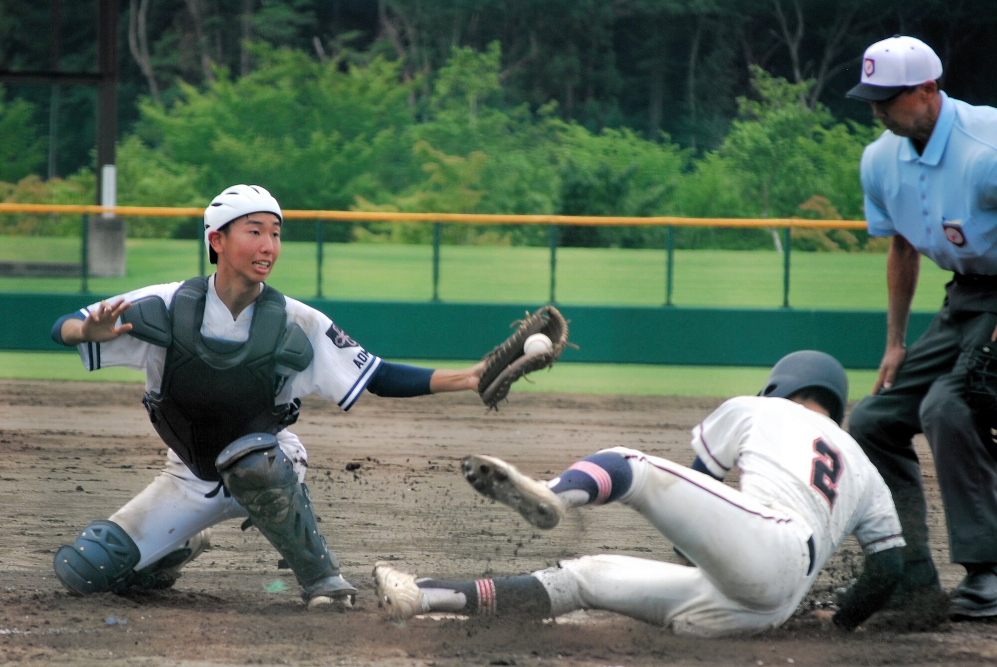 図・写真