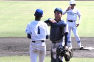 図・写真