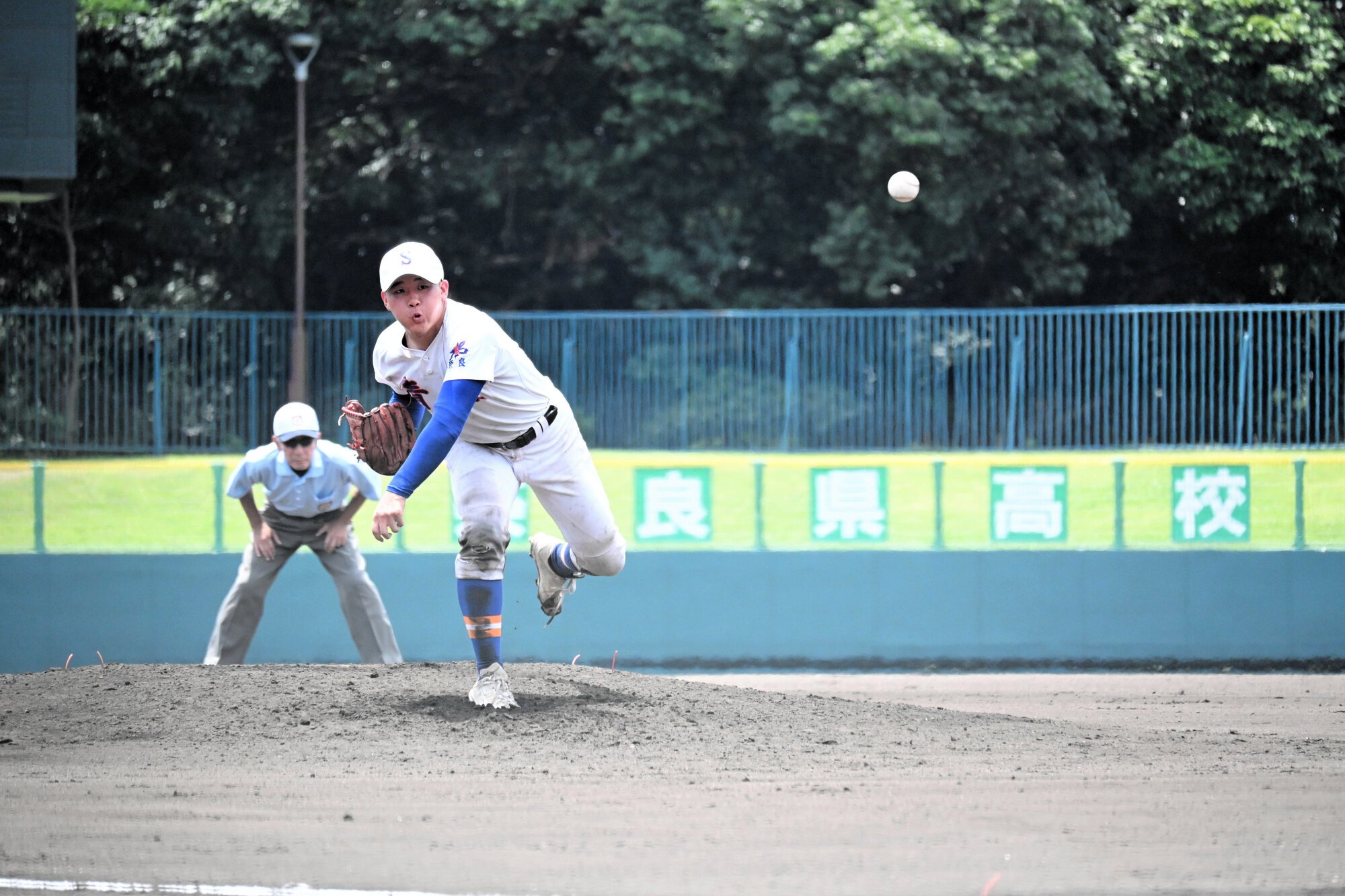図・写真