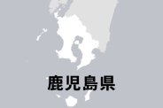 図・写真