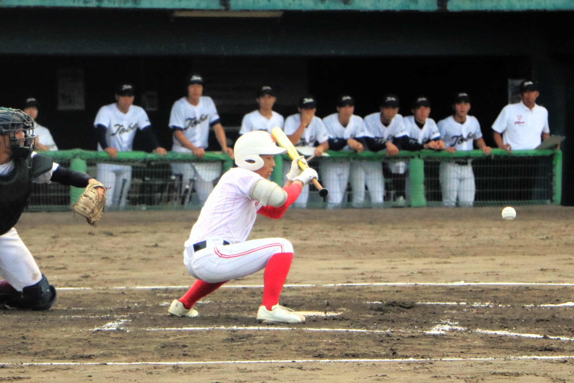 図・写真