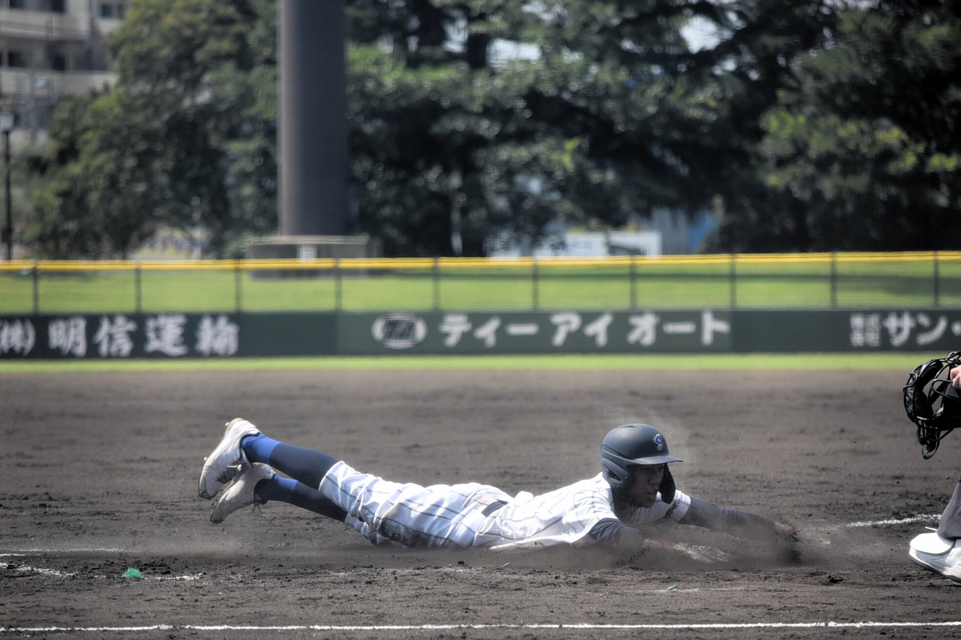 図・写真