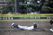 図・写真