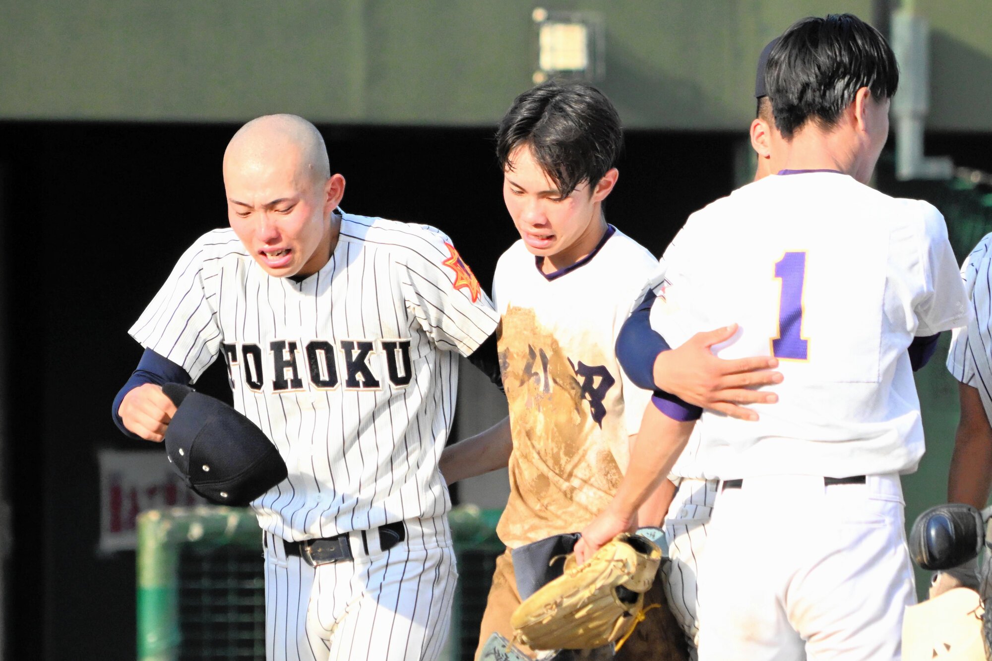 図・写真
