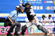図・写真