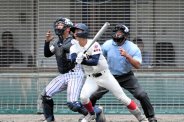 図・写真