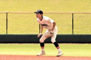 図・写真