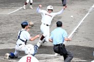 図・写真