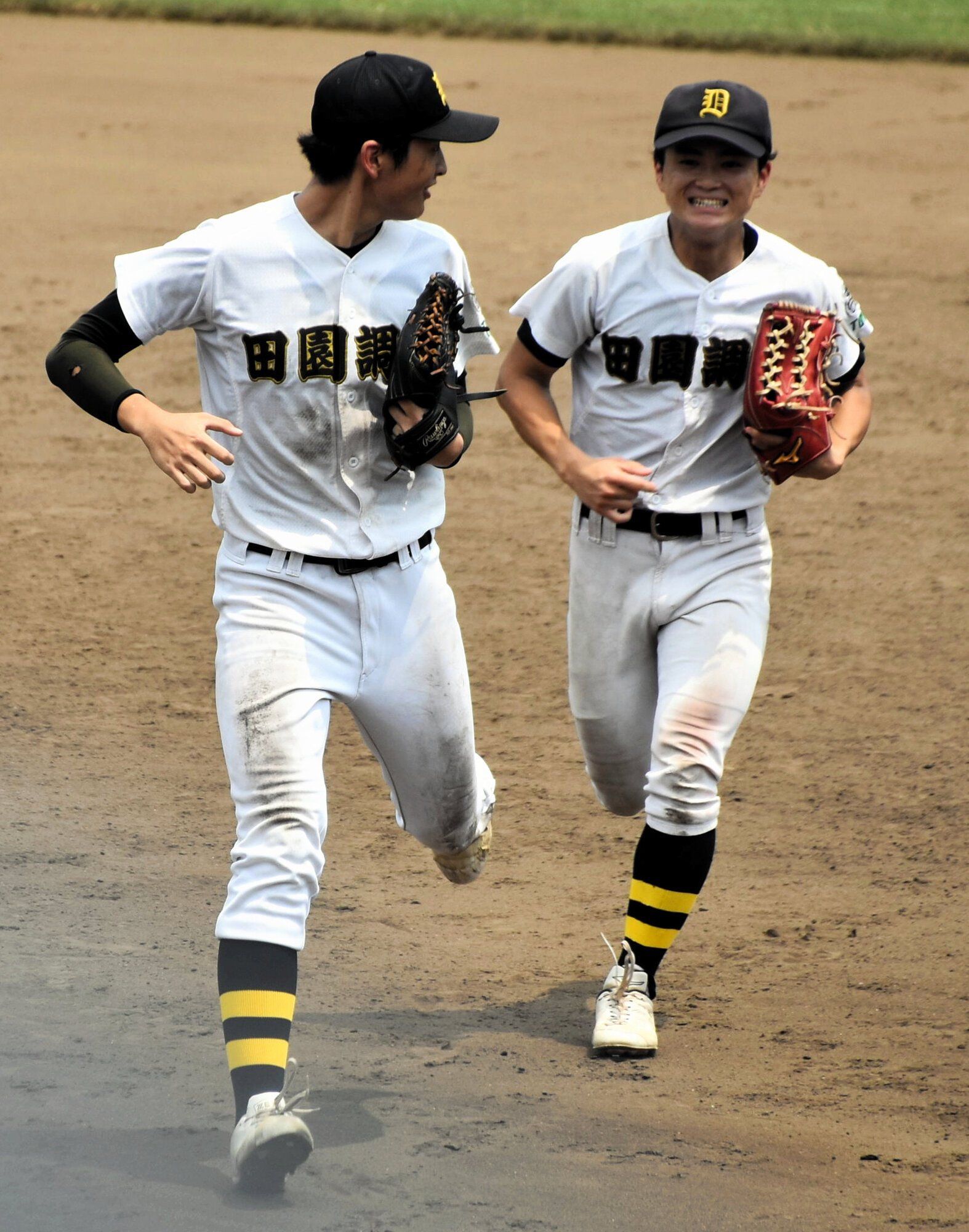図・写真