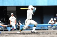 図・写真