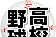 図・写真