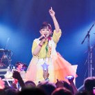 図・写真