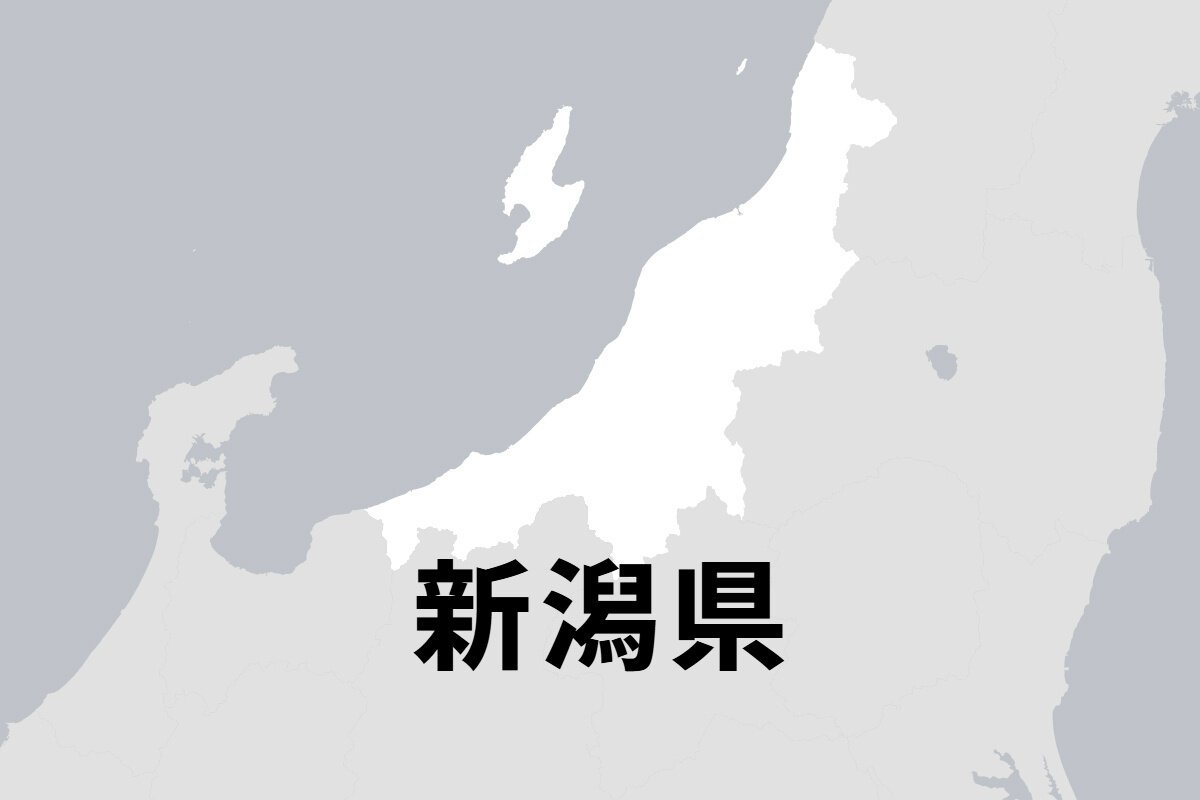 図・写真