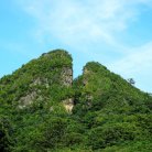 図・写真