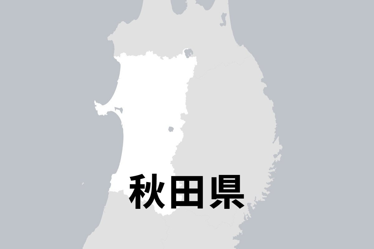 図・写真