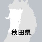 図・写真