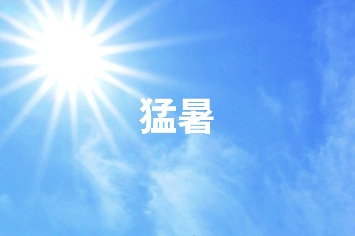 図・写真