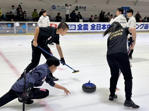 図・写真