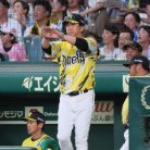 図・写真