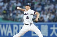 図・写真