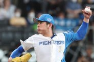 図・写真