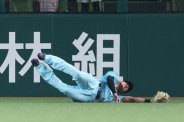 図・写真