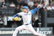 図・写真