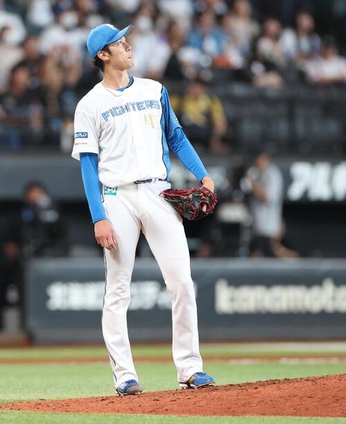図・写真