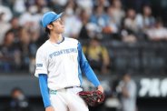 図・写真