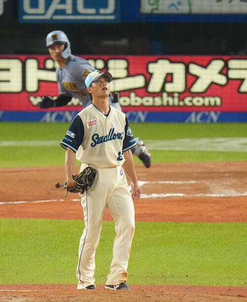 図・写真