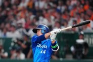 図・写真