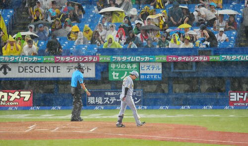 図・写真