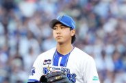 図・写真