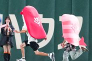 図・写真