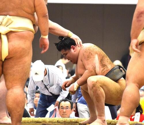 図・写真