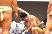 図・写真